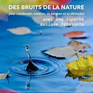 Des bruits de la nature pour s&rsquo;endormir, méditer, se soigner et se détendre