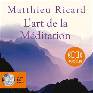L&rsquo;art de la Méditation