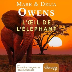 L&rsquo;œil de l&rsquo;éléphant