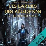Série Les Larmes des Aëlwynns en livre audio : couverture du tome 2