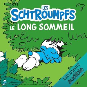 Le long sommeil