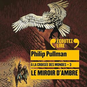 Le miroir d&rsquo;ambre