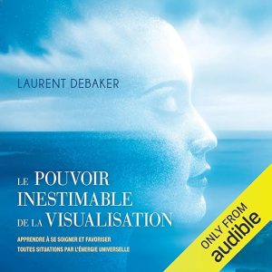 Le pouvoir inestimable de la visualisation