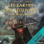 Série Les Larmes des Aëlwynns en livre audio : couverture du tome 1