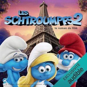 Le roman du film