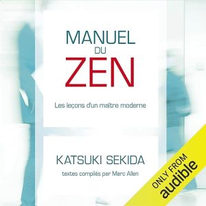 Manuel du ZEN. Les leçons d&rsquo;un maître moderne