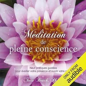 Méditation de pleine conscience