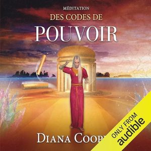 Méditation des codes de pouvoir