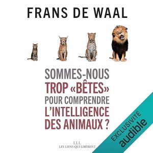 Sommes-nous trop « bêtes » pour comprendre l&rsquo;intelligence des animaux ?