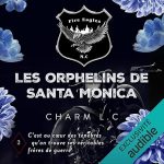Série FIRE EAGLES (en français) en livre audio : couverture du tome 2