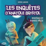 Livre audio de Sophie Laroche : couverture 2